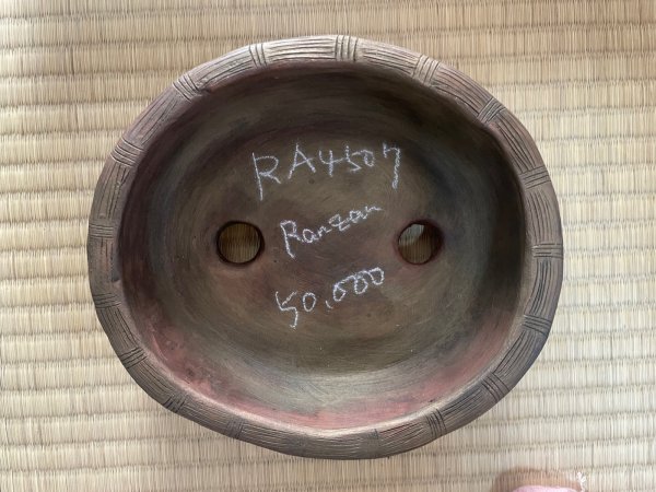 Photo3: No.RA4507  Ranzan (3)