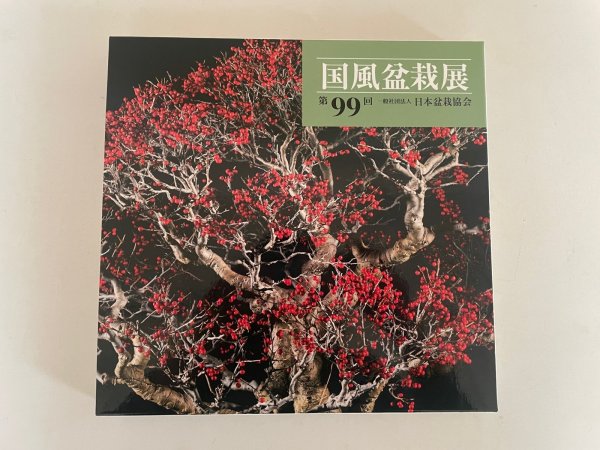 Photo1: No.KF99   Kokufu album 2025 (Total page 332) (1)