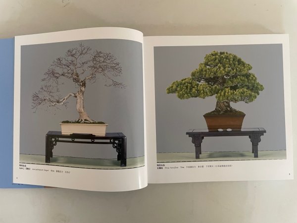 Photo2: No.KF99   Kokufu album 2025 (Total page 332) (2)