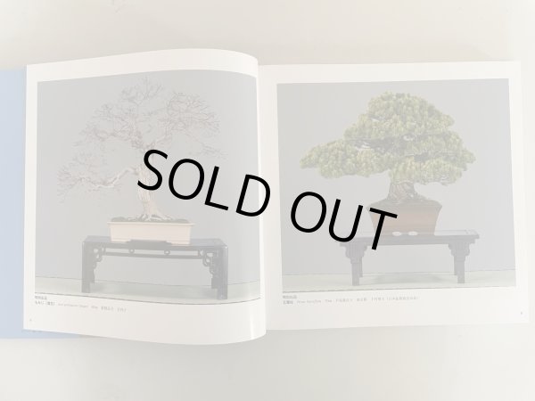 Photo2: No.KF99   Kokufu album 2025 (Total page 332) (2)