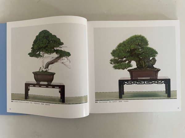 Photo3: No.KF99   Kokufu album 2025 (Total page 332) (3)