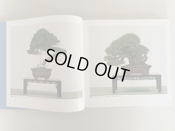 Photo3: No.KF99   Kokufu album 2025 (Total page 332) (3)