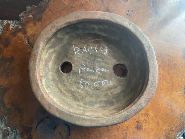 Photo1: No.RA4503  Ranzan (1)