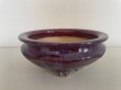 Photo1: No.FA5601  Bonsai pot by Shigeru Fukuda (1)