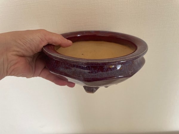 Photo4: No.FA5601  Bonsai pot by Shigeru Fukuda (4)