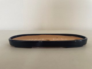 Tokoname pots | Bonsai Network Japan (Page 7)