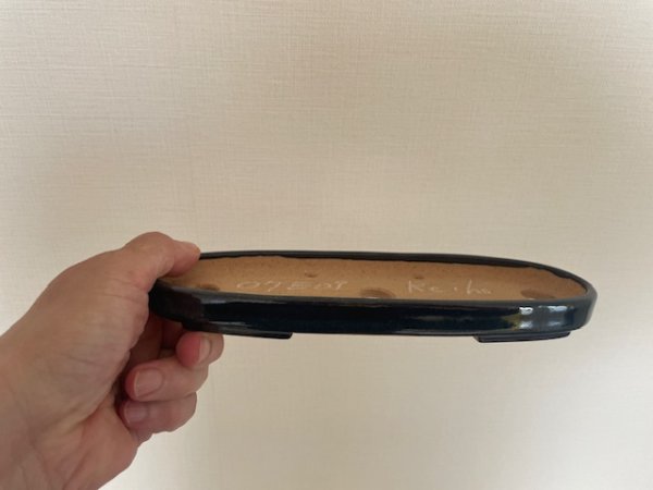 Photo4: No.KA5603 Reiho (4)