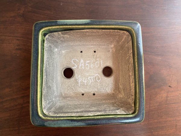 Photo2: No.SA5601 Satomi (2)