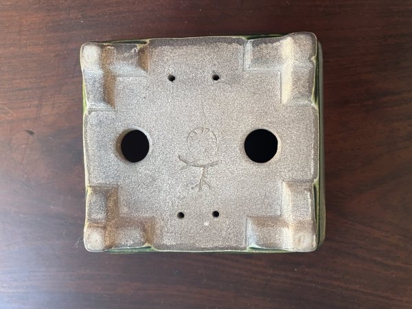 Photo3: No.SA5601 Satomi (3)