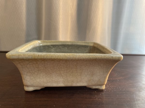 Photo1: No.SA5605 Satomi pot (1)