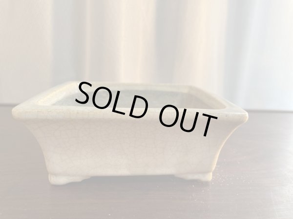 Photo1: No.SA5605 Satomi pot (1)