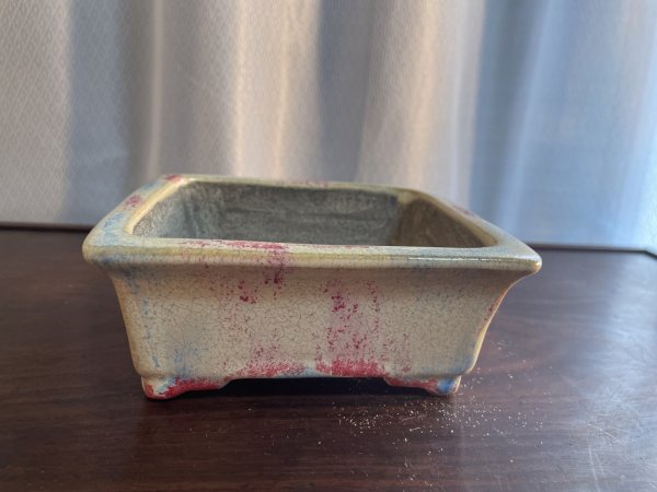 Photo1: SA5606  satomi (1)