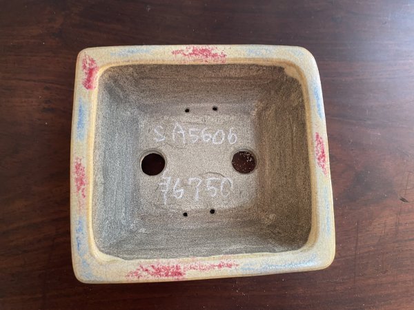 Photo2: SA5606  satomi (2)