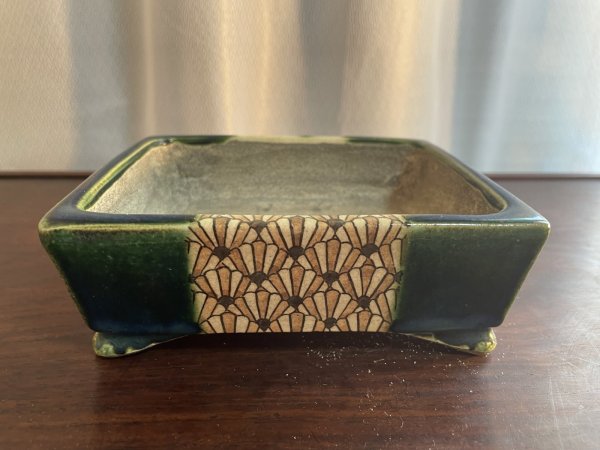 Photo1: SA5607  satomi (1)