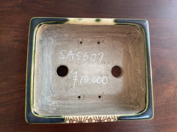 Photo2: SA5607  satomi (2)