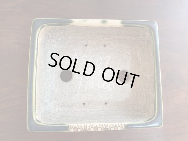 Photo2: SA5607  satomi (2)