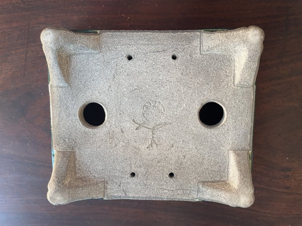 Photo3: SA5607  satomi (3)