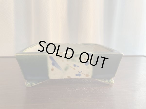 Photo1: SA5608  satomi (1)