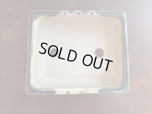 Photo2: SA5608  satomi (2)