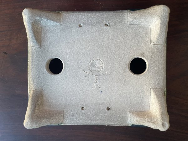 Photo3: SA5608  satomi (3)