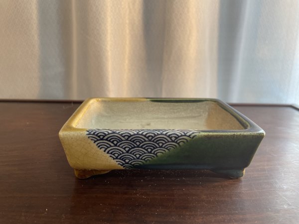 Photo1: SA5610  satomi (1)