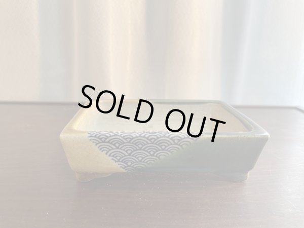 Photo1: SA5610  satomi (1)