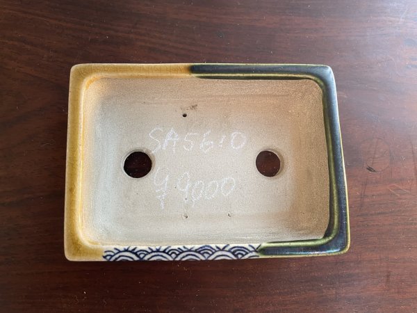 Photo2: SA5610  satomi (2)