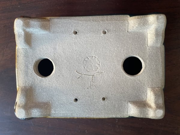 Photo3: SA5610  satomi (3)