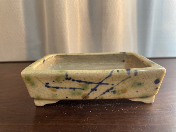 Photo1: SA5611  satomi (1)