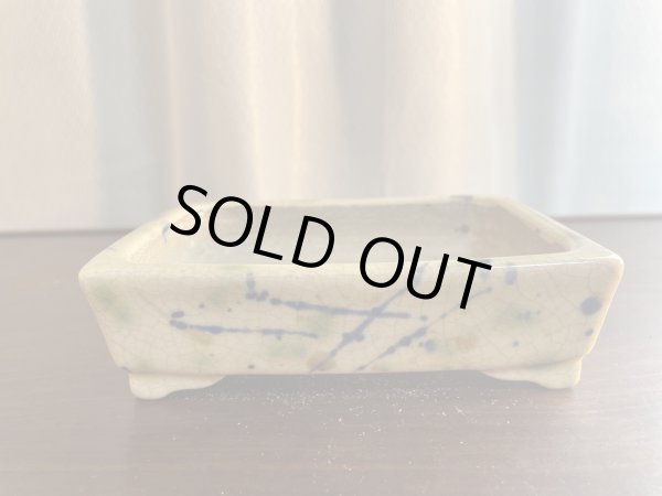 Photo1: SA5611  satomi (1)