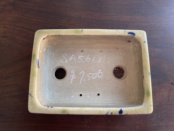 Photo2: SA5611  satomi (2)