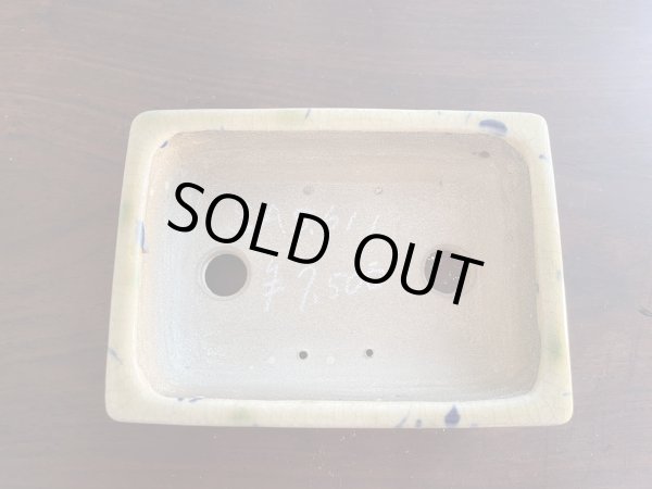 Photo2: SA5611  satomi (2)