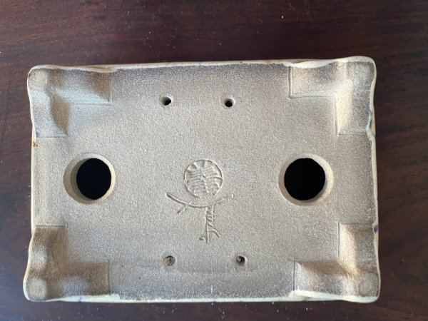 Photo3: SA5611  satomi (3)