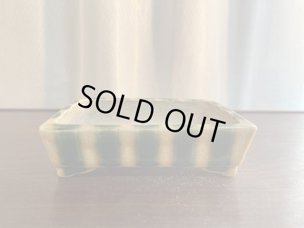 Photo1: SA5612  satomi (1)