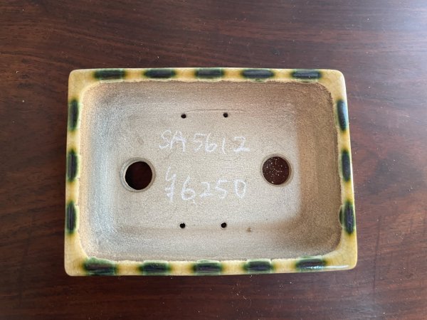 Photo2: SA5612  satomi (2)