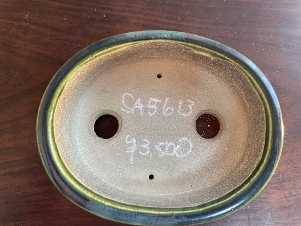 Photo2: SA5613  satomi (2)