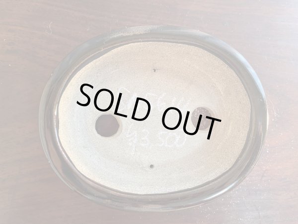 Photo2: SA5614  satomi (2)