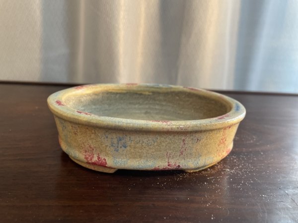 Photo1: SA5615  satomi (1)