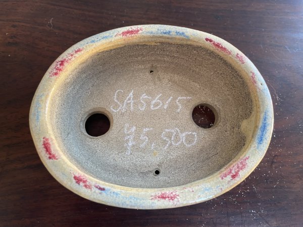 Photo2: SA5615  satomi (2)