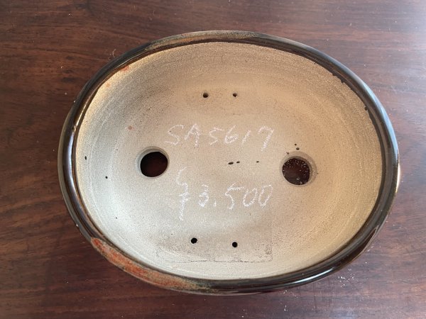 Photo1: SA5617  satomi (1)