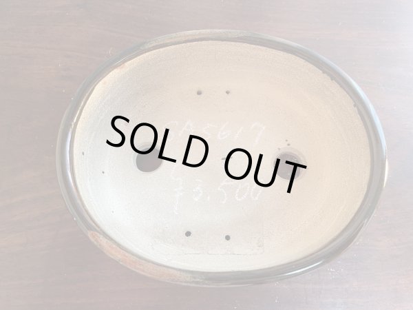 Photo1: SA5617  satomi (1)