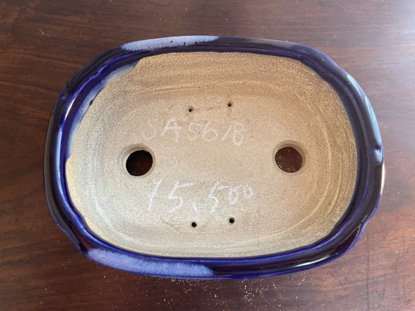 Photo2: SA5618  satomi (2)