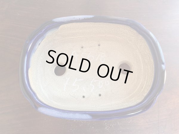 Photo2: SA5618  satomi (2)