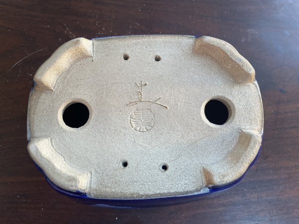 Photo3: SA5618  satomi (3)