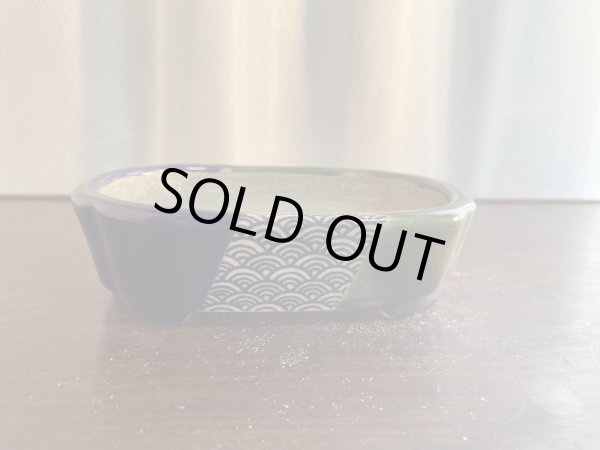 Photo1: SA5623  satomi (1)