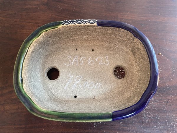 Photo2: SA5623  satomi (2)