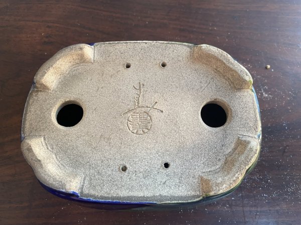 Photo3: SA5623  satomi (3)