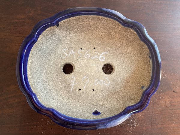 Photo2: SA5626  satomi (2)