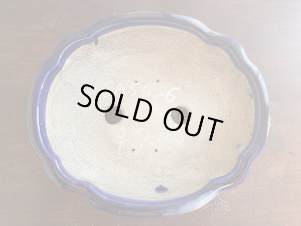 Photo2: SA5626  satomi (2)