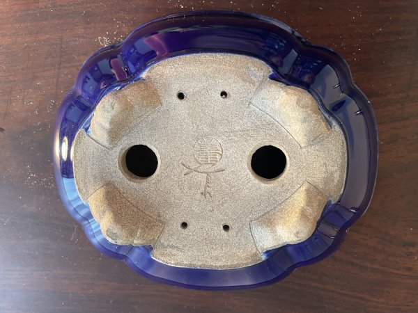 Photo3: SA5626  satomi (3)